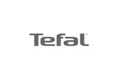 Brand logo for Tefal