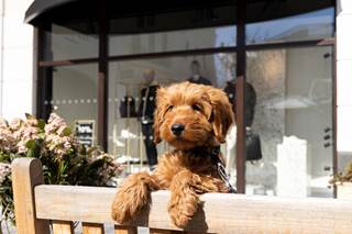 Dog Friendly Stores McArthurGlen West Midlands